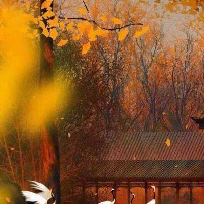 沈阳故宫博物院老院长，求索30余年追寻中华文化走向世界的踪迹